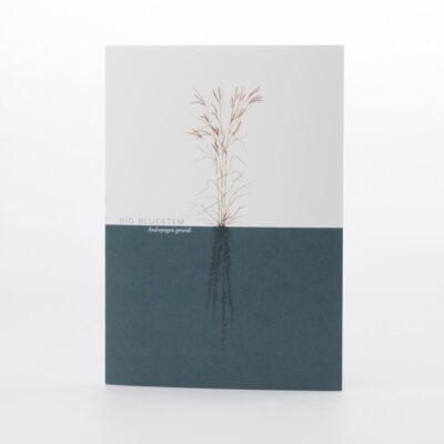 Big Bluestem Greeting Card