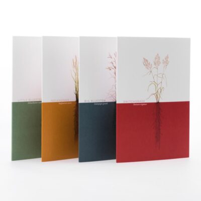 Prairy Grasses Greeting Cards