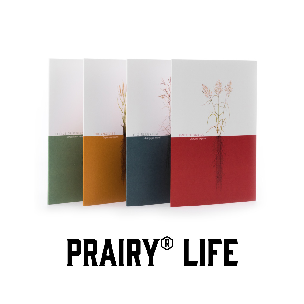 Prairy Life